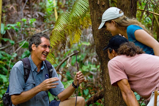 Volcano, Chocolate and Waterfalls of the Big Island - Cacao at a 1,000-acre tropical farm