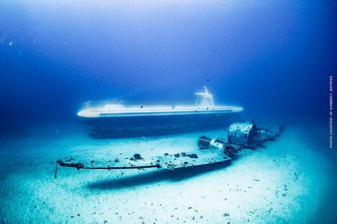 Waikiki: Atlantis Submarine Adventure - The guide can shape the whole ride