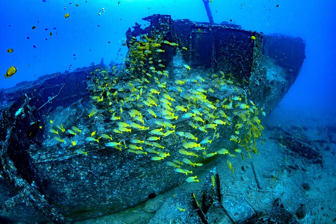 Waikiki: Atlantis Submarine Adventure - Is $167.81 a fair price?