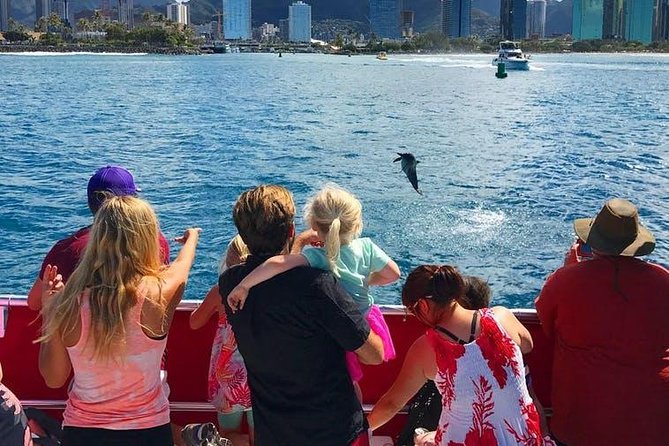 Waikiki Beach Glass Bottom Boat Cruise - What this Waikiki cruise is really like