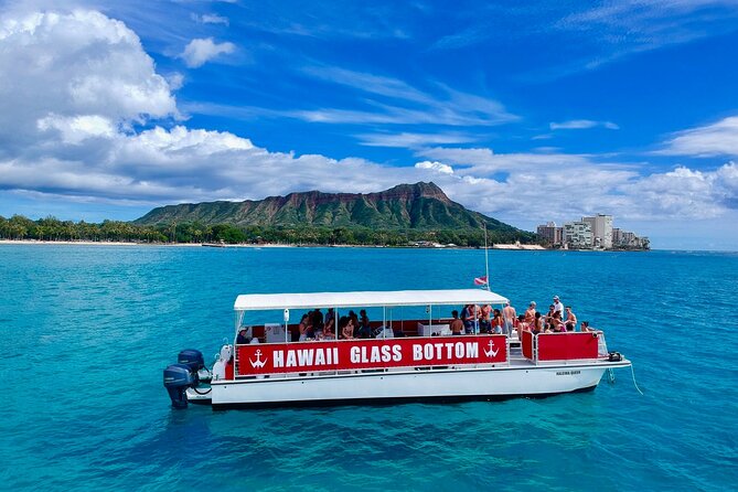 Waikiki Beach Glass Bottom Boat Cruise - Looking through the underwater ports