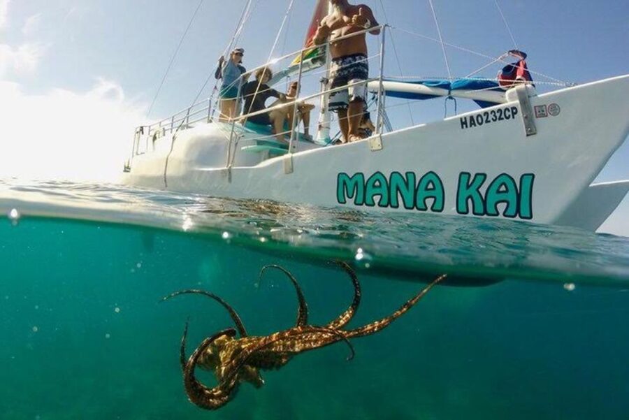 Waikiki Beach: Turtle Snorkeling and Sailing on Hāwea - Getting into the water at Turtle Canyon