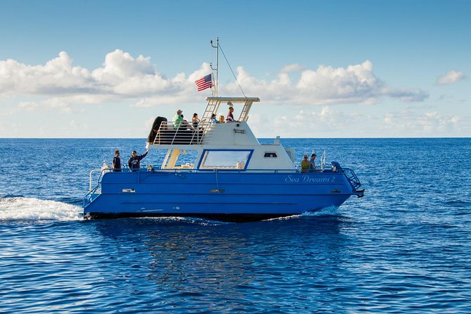 Waikiki Deluxe Catamaran Whale Watch - Timing, weather, and the practical details