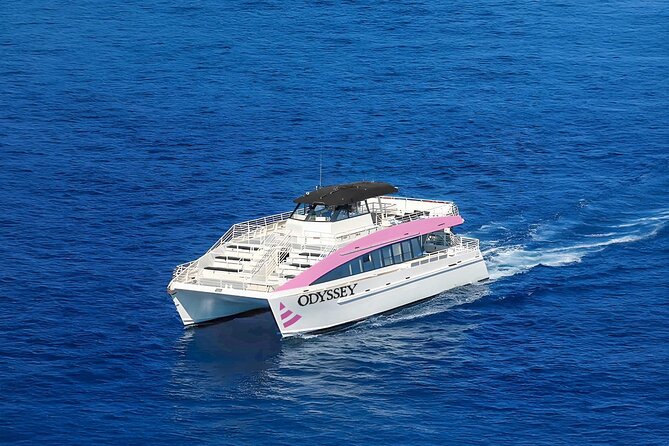 Waikiki: Friday Night Fireworks Catamaran Cruise - Practical tips for a better night