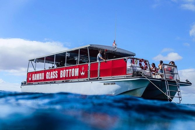 Waikiki Glass Bottom Boat Cruise - What the glass bottom really means