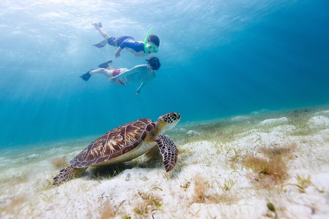 Waikiki Green Sea Turtle Snorkeling Tour - Boat Excursion - Leaving Kewalo Basin for Turtle Canyon