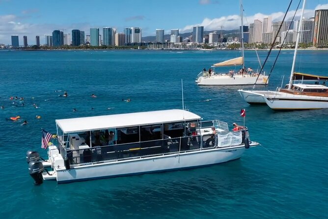 Waikiki Green Sea Turtle Snorkeling Tour - Boat Excursion - Reef fish, dolphins, and whales