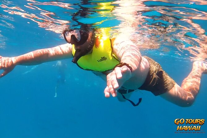 Waikiki Green Sea Turtle Snorkeling Tour - Boat Excursion - Who will enjoy this outing most?