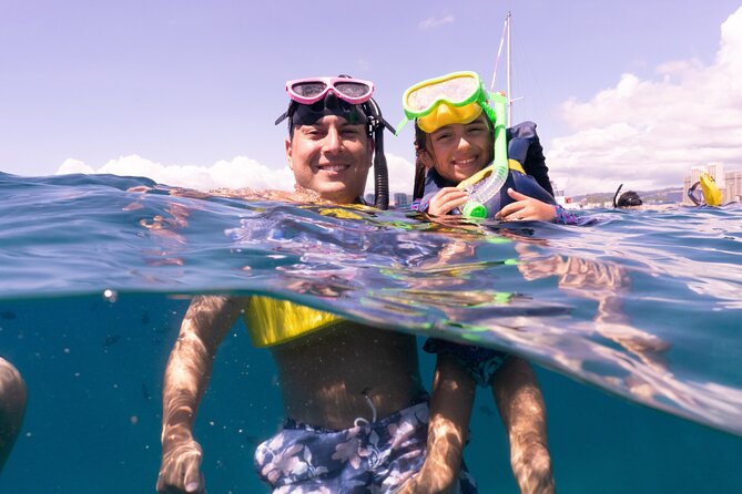 Waikiki Green Sea Turtle Snorkeling Tour - Boat Excursion - Practical ways to improve your day