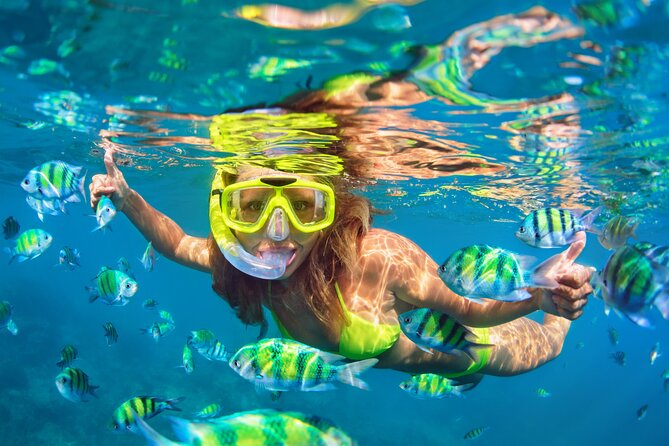 Waikiki Green Sea Turtle Snorkeling Tour - Boat Excursion - The 50-foot catamaran setup