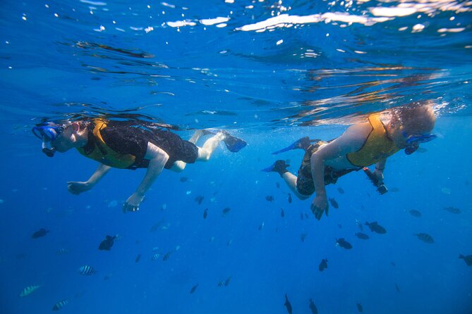 Waikiki, Hawaii: Deluxe Snorkel and Wildlife Cruise - The cruise toward Waikiki and Diamond Head