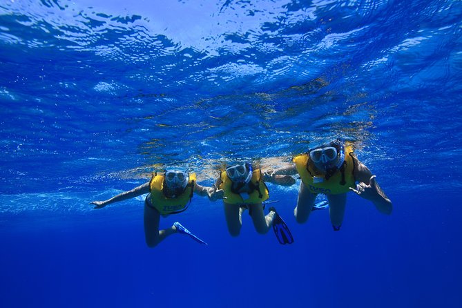 Waikiki, Hawaii: Turtle Canyon Snorkel Excursion - Snacks, refreshments, and the return ride