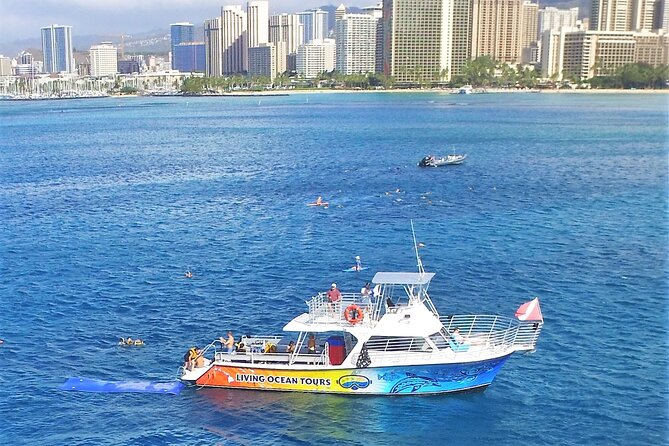 Waikiki, Hawaii: Turtle Canyon Snorkel Excursion - Meeting at Living Ocean Tours in Honolulu