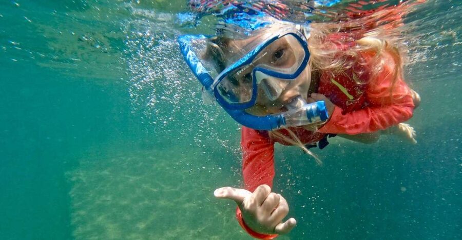 Waikiki: Honolulu Beginner Snorkeling Tour with Videos - Why Magic Island Lagoon works for first-timers