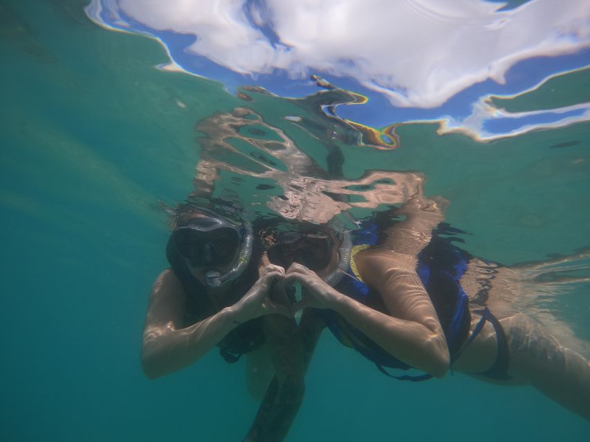 Waikiki: Honolulu Beginner Snorkeling Tour with Videos - Meeting near lifeguard tower 1G