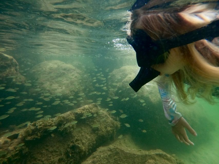 Waikiki: Honolulu Beginner Snorkeling Tour with Videos - Fish, coral, squid, and the chance of a starfish