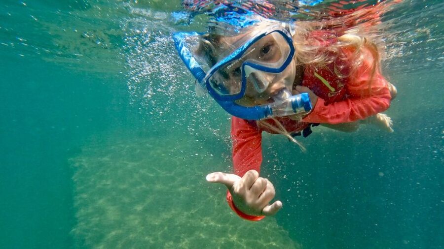 Waikiki: Honolulu Beginner Snorkeling Tour with Videos - What to bring, and what the $59 does not cover