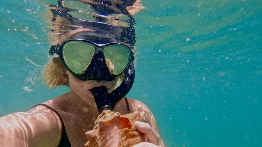 Waikiki: Honolulu Beginner Snorkeling Tour with Videos - Flexible booking for changing Hawaii plans