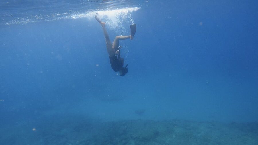 Waikiki: Honolulu Beginner Snorkeling Tour with Videos - What happens during the 90-minute session