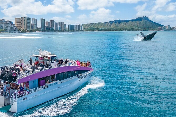 Waikiki, Oahu 2-Hour Whale Watching: Guaranteed Sightings - Who will enjoy this Waikiki whale watch