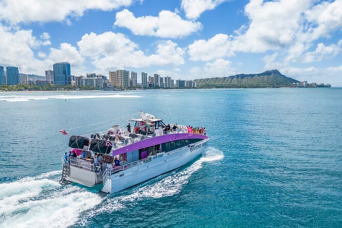 Waikiki, Oahu 2-Hour Whale Watching: Guaranteed Sightings - Leaving Pink Sails Waikiki for open water
