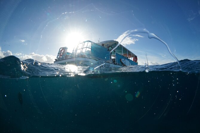 Waikiki Snorkel Tour - The family question: ages, swimming, and comfort