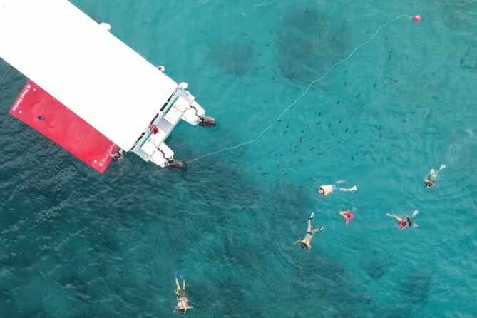 Waikiki Snorkel Tour - Timing, weather, and cancellations