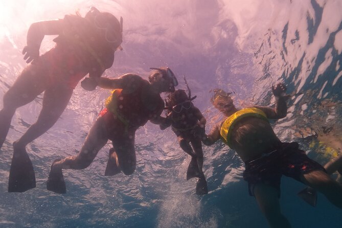 Waikiki: Turtle Canyon Snorkel - Swimming ability and flotation gear