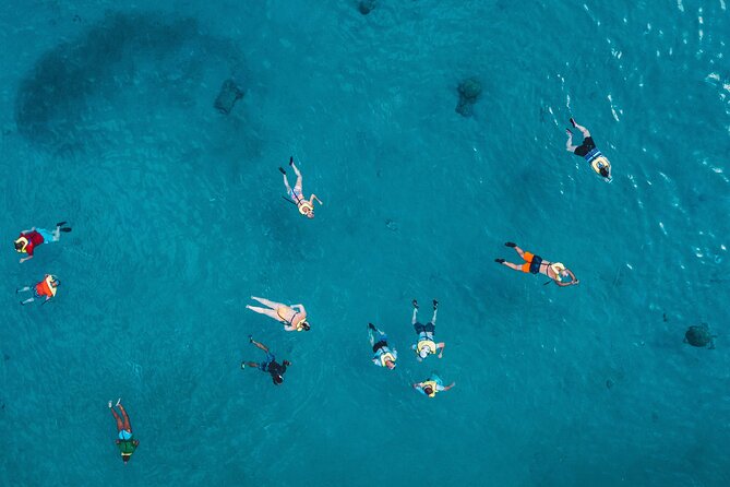 Waikiki: Turtle Canyon Snorkel - Crew support makes the difference