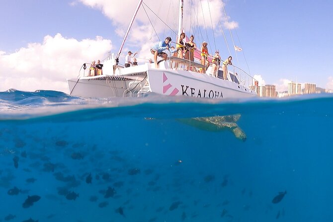 Waikiki: Turtle Canyon Snorkel - What to bring and how to prepare