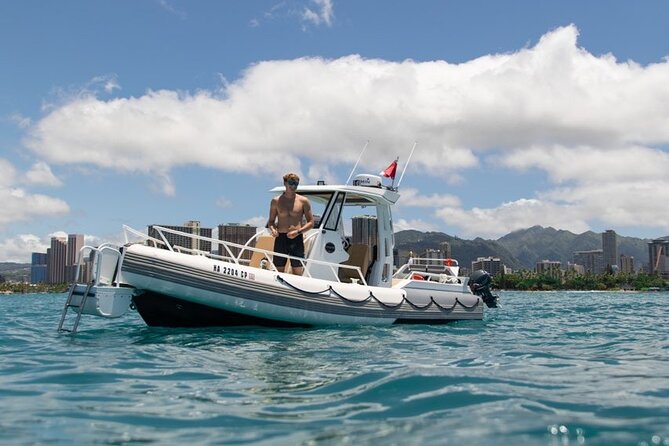 Waikiki Turtle Canyon Snorkel: Turtles Guaranteed - Crew support for first-time snorkelers
