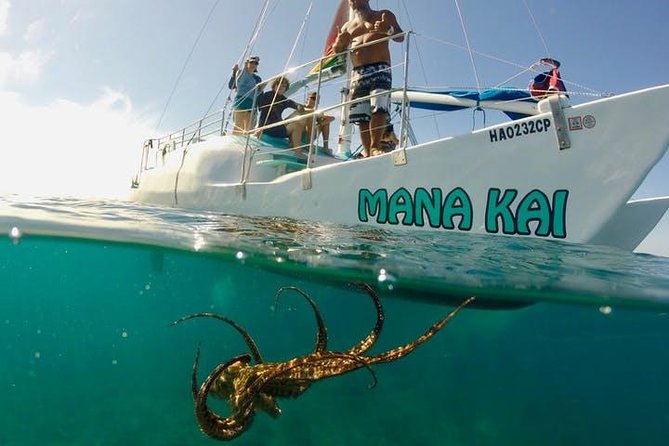 Waikiki Turtle Snorkel and Sail on Hawea Catamaran - The Hawea catamaran ride out