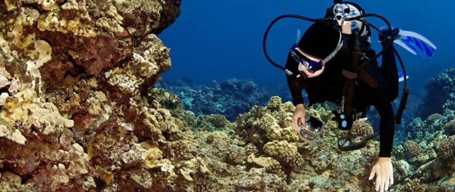 Waikoloa Catamaran Snorkel & Sail Adventure with Lunch - Setting out from Anaeho‘omalu Bay