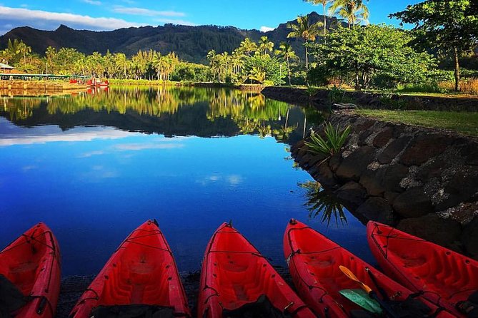 Wailua River & Waterfalls Kayak Tour: Expert-Guided Adventure - A full morning on Kauai’s Wailua River