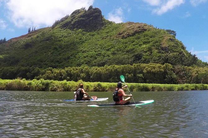 Wailua River & Waterfalls Kayak Tour: Expert-Guided Adventure - Why the guides make a difference
