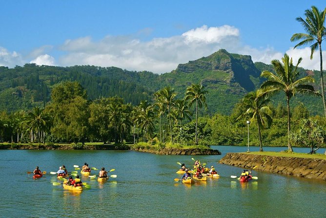 Wailua River & Waterfalls Kayak Tour: Expert-Guided Adventure - What to wear and pack for wet conditions
