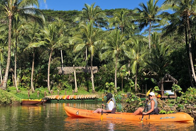 Wailua River & Waterfalls Kayak Tour: Expert-Guided Adventure - Is $145.86 a fair price?