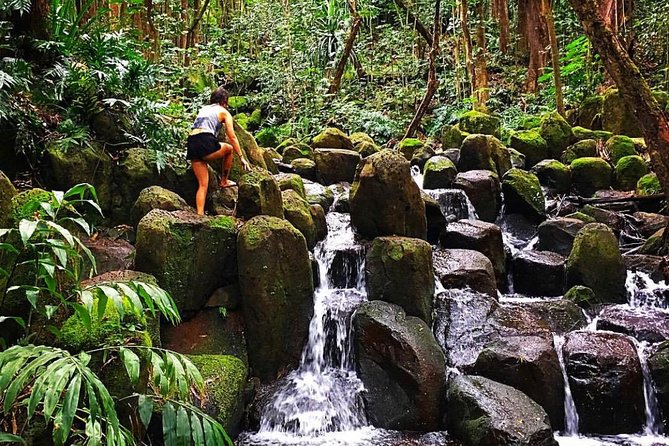 Wailua River & Waterfalls Kayak Tour: Expert-Guided Adventure - Who should book this Kauai adventure?