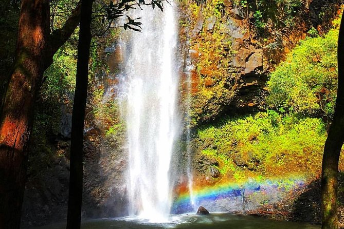 Wailua River & Waterfalls Kayak Tour: Expert-Guided Adventure - Booking and cancellation details