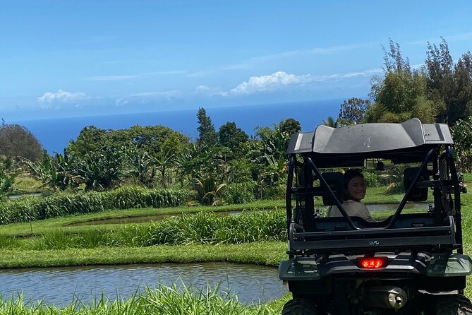 Waipi’o on Horseback: Mountain Ocean Views Working Cattle Ranch - A ranch ride with a Hawaiian ahupua’a at its center