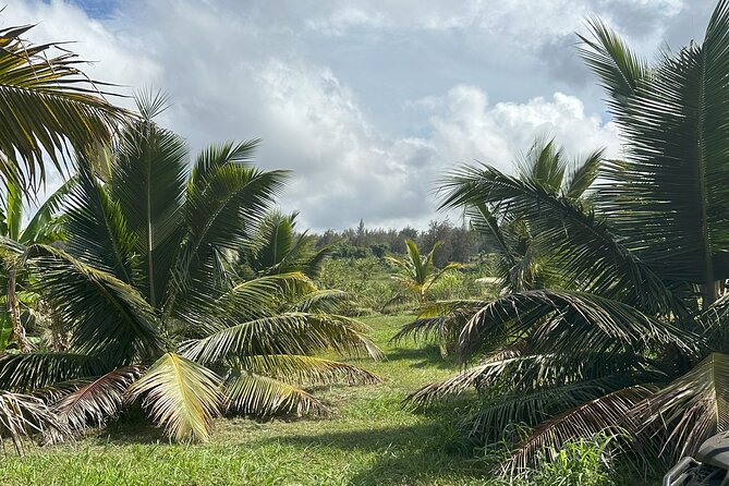 Waipi’o on Horseback: Mountain Ocean Views Working Cattle Ranch - Why the small group size helps