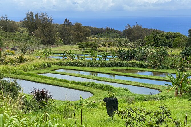 Waipi’o on Horseback: Mountain Ocean Views Working Cattle Ranch - What the two-hour route actually includes