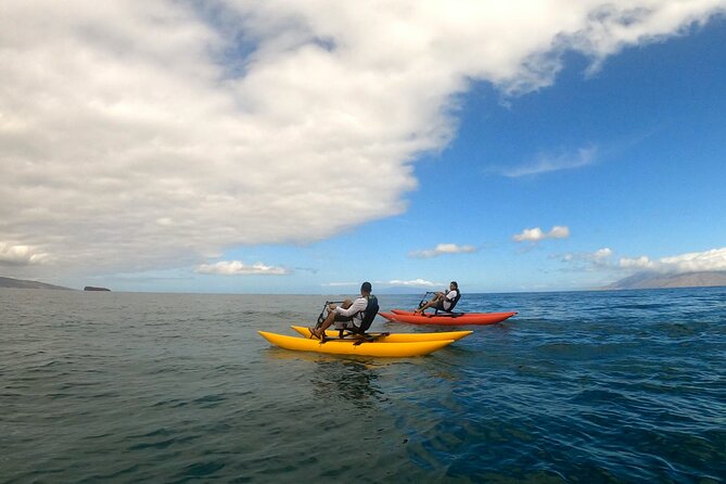 Water Bike Tour in South Maui - The rare black sand beach from offshore