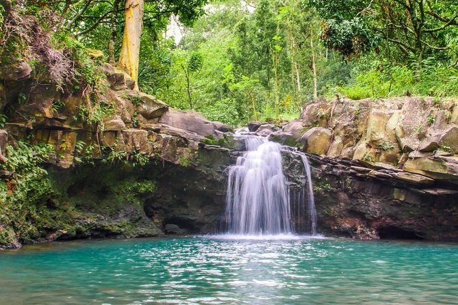 Waterfall & Rainforest Hiking Adventure with Hotel Pickup - Group size and the feel of the day