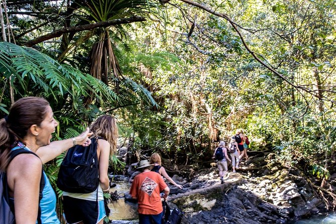 Waterfall & Rainforest Hiking Adventure with Hotel Pickup - Practical planning for shoes, weather, and timing