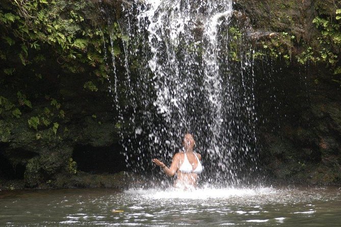 Waterfall & Rainforest Hiking Adventure with Hotel Pickup - Waterfalls, swimming, and a 10 to 15-foot jump