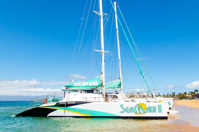 West Maui Afternoon Snorkel from Ka’anapali Beach - Who should book this Ka’anapali snorkel