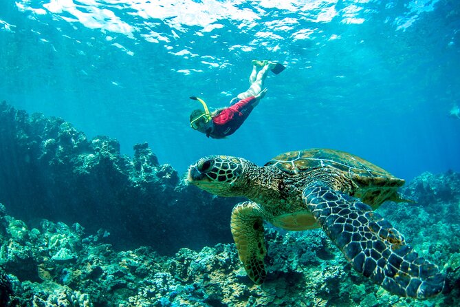 West Maui Afternoon Snorkel from Ka’anapali Beach - Booking, cancellation, and useful preparation