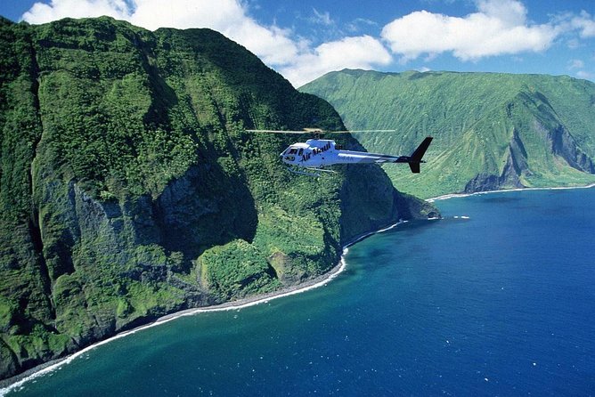 West Maui and Molokai Special 45-Minute Helicopter Tour - Who will enjoy this flight most