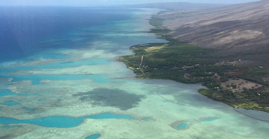 West Maui and Molokai Special 45-Minute Helicopter Tour - Molokai’s north shore and its enormous sea cliffs